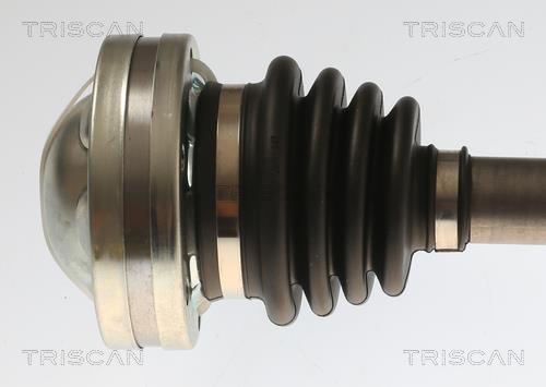 Cardán Triscan A/S ref. 8540 297019