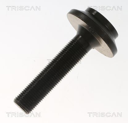 Cardán Triscan A/S ref. 8540 297019