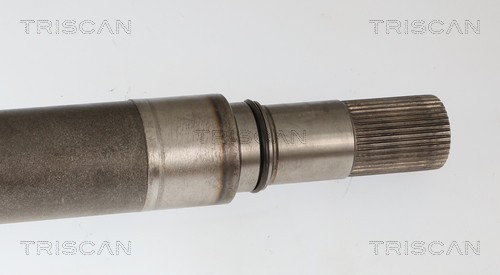 Cardan Triscan A/S 8540 297034