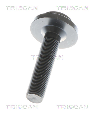 Cardan Triscan A/S 8540 297042