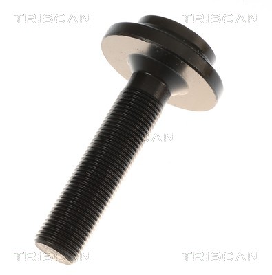 Cardã Triscan A/S 8540 297052