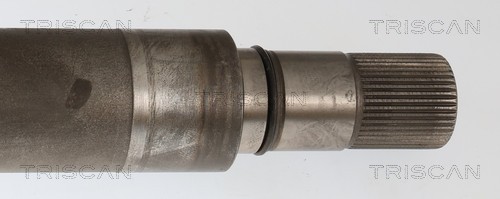 Cardan Triscan A/S 8540 297055