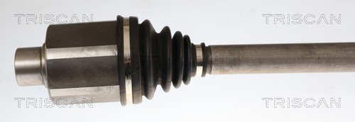Cardan Triscan A/S 8540 297058