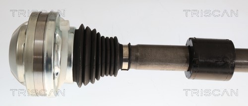 Cardan Triscan A/S 8540 297061