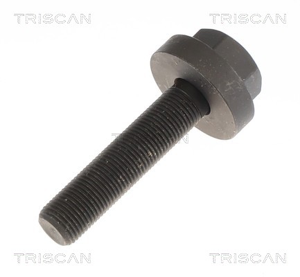 Cardã Triscan A/S 8540 297066