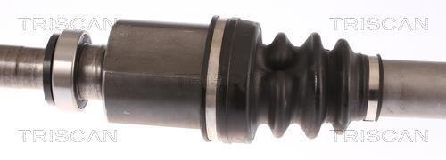 Cardan Triscan A/S 8540 38568