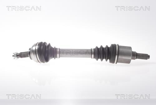 Cardán Triscan A/S ref. 8540 38569