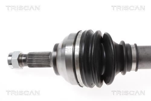 Cardán Triscan A/S ref. 8540 38569
