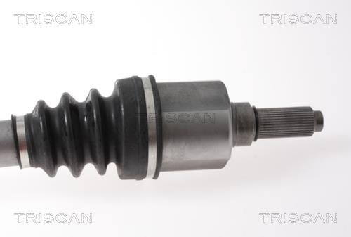 Cardán Triscan A/S ref. 8540 38569