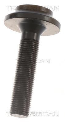 Cardan Triscan A/S 8540 43505