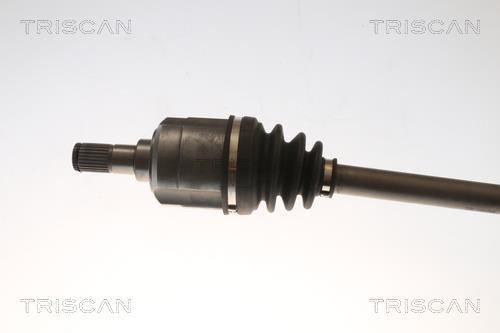 Cardã Triscan A/S ref. 8540 43511