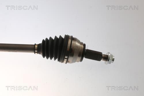 Cardã Triscan A/S ref. 8540 43511
