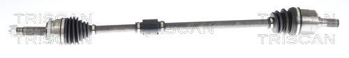 Cardan Triscan A/S 8540 43518