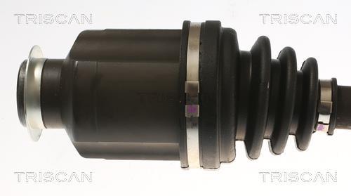 Cardan Triscan A/S ref. 8540 43519