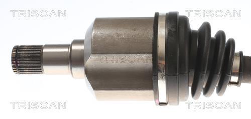 Cardã Triscan A/S 8540 43520