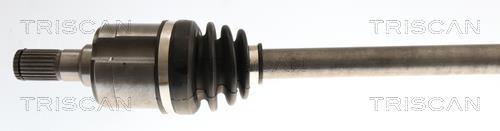 Cardan Triscan A/S ref. 8540 43543