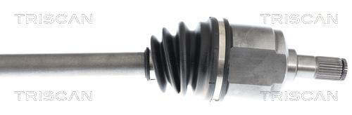 Cardan Triscan A/S 8540 43562