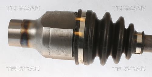 Cardan Triscan A/S 8540 69515