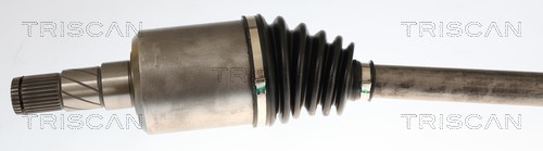 Cardã Triscan A/S 8540 81515