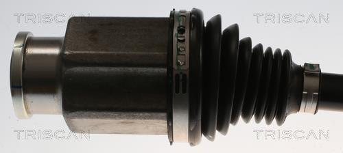 Cardan Triscan A/S ref. 8540 82101