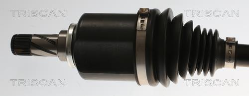 Cardan Triscan A/S ref. 8540 82106
