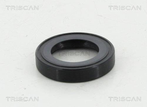 Vedante da caixa de velocidade Triscan A/S ref. 8550 10047