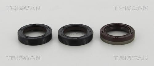 Kit de bagues d'étanchéité, moteur Triscan A/S ref. 8550 10059