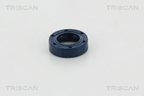 Vedante da caixa de velocidade Triscan A/S ref. 8550 29025