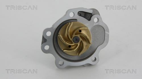 Pompe à eau Triscan A/S ref. 8600 10035