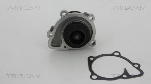 Pompe à eau Triscan A/S ref. 8600 10036