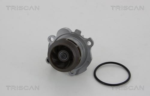 Pompe à eau Triscan A/S ref. 8600 10072