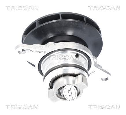 Pompe à eau Triscan A/S ref. 8600 10093