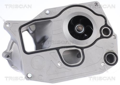 Pompe à eau Triscan A/S 8600 11051