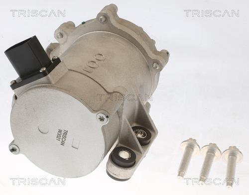 Pompe à eau Triscan A/S ref. 8600 11054