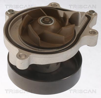 Pompe à eau Triscan A/S 8600 11062