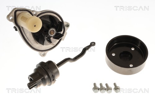 Pompe à eau Triscan A/S 8600 11067