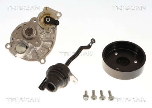 Pompe à eau Triscan A/S 8600 11069