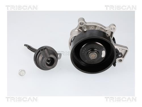 Pompe à eau Triscan A/S ref. 8600 11070