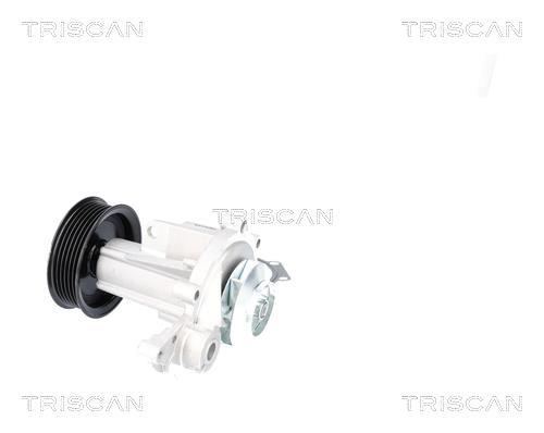 Pompe à eau Triscan A/S ref. 8600 12002