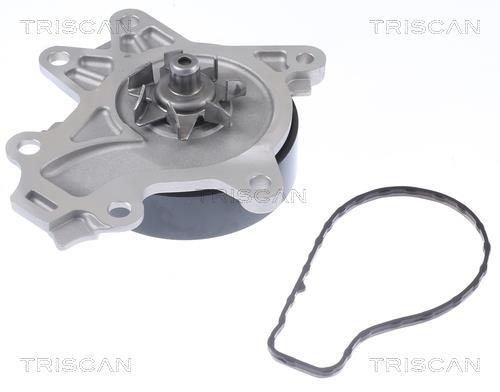Pompe à eau Triscan A/S 8600 13047