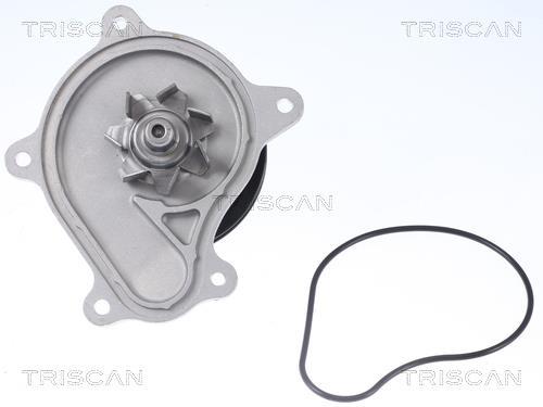 Pompe à eau Triscan A/S ref. 8600 13048