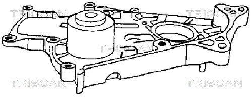 Pompe à eau Triscan A/S ref. 8600 13900