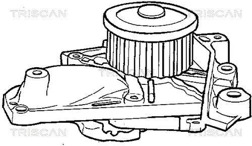 Pompe à eau Triscan A/S ref. 8600 13990