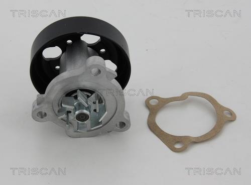 Pompe à eau Triscan A/S ref. 8600 14018