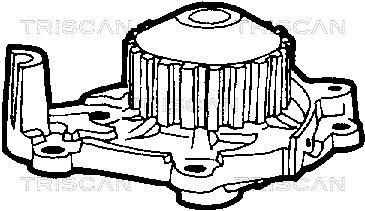 Pompe à eau Triscan A/S ref. 8600 14850