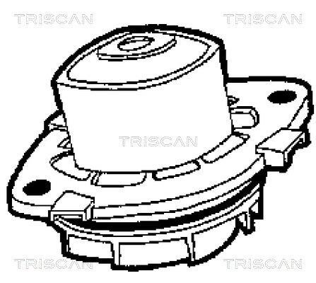 Pompe à eau Triscan A/S 8600 15013