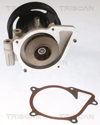 Pompe à eau Triscan A/S ref. 8600 16073