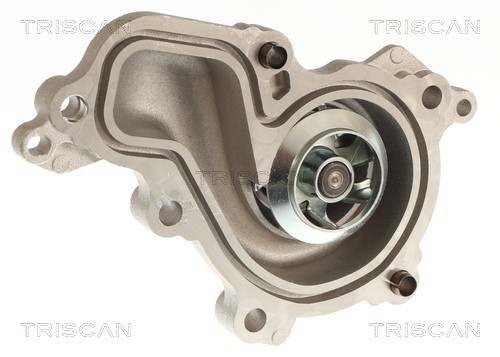 Pompe à eau Triscan A/S 8600 16081