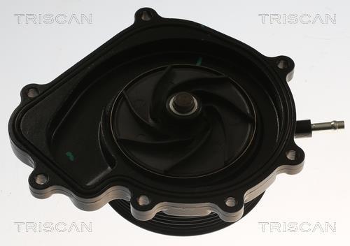 Pompe à eau Triscan A/S ref. 8600 23019V