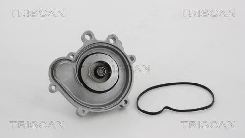 Pompe à eau Triscan A/S 8600 23054